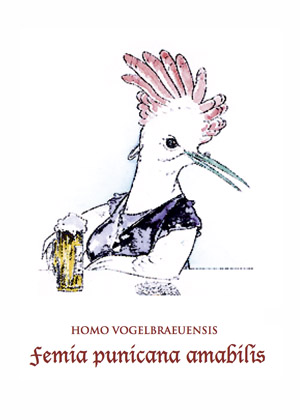 Homo vogelbraeuensis: femia punicana amabilis