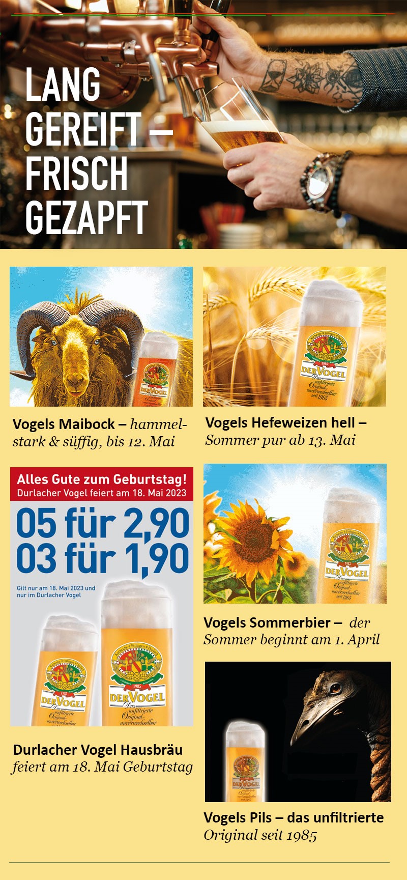 Der Vogel ‒ Das unfiltrierte Original