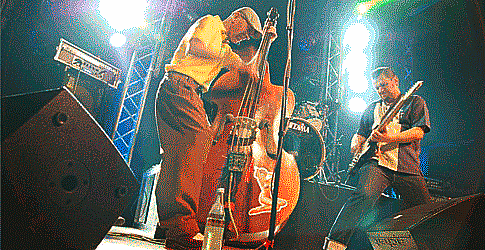 Dr. B’s Rhythm Riot