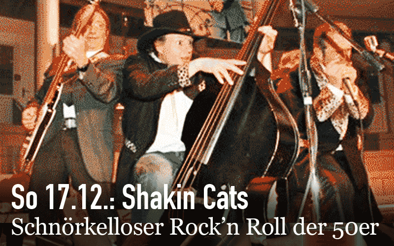 Shakin Cats