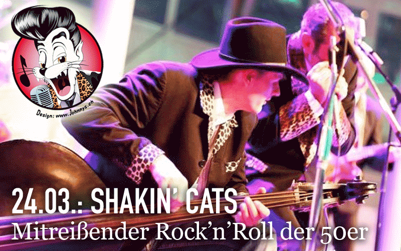 Shakin’ Cats